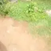 ashenafi - @ashenafidaba860 - TikTok