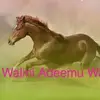 ashenafidaba23 - @ashenafidaba23 - TikTok