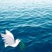Ashenafi Nigussie - Facebook