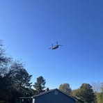 Asher Abrams - Facebook