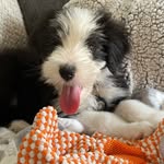 Asher - @asheradler2222 - Instagram