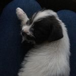 Asher Allen - @_asher_allen - Instagram