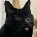 Asher Allen - @smasher_allen - Instagram