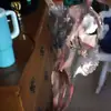 AsherAllen - @asherallen81 - TikTok