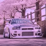 Asher Alt - @asher.1437_alt - Instagram