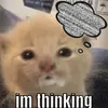 Asher alt - @asherbusch - TikTok
