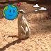 Asher Arnold - Facebook