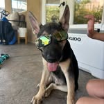 Asher Barton🐾 - @asher__barton - Instagram