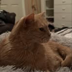 Asher Burton - Facebook