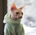 Asher Ben - Facebook