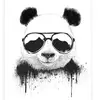 🐼Asher Benson🐼 - @panda_kid_no.1 - TikTok