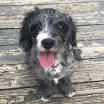 Asher - @ashercannon - Instagram