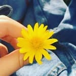 asher castillo - @asher.castillo_33 - Instagram