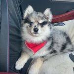 Asher - @asher__clark - Instagram