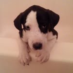 Asher Cole - @_asher.cole_ - Instagram