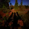 Asher Cole - @asher.cole2 - TikTok