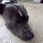 asher cole pruitt - @ashercolepruitt - Instagram