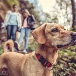 Asher Coleman - @hrj23626 - Instagram