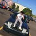 Asher Curtis - Facebook