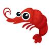 SHRIMP SQUAD! 🦐 - @ashercurtis - TikTok