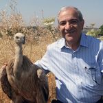 Asher Dahan - @asherdahan999 - Instagram