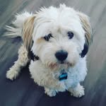 Asher Dean - @badboyasher - Instagram