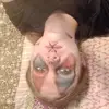 Asher Dean - @asher_dean_in_space - TikTok