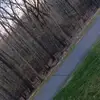 Asher Dean - @asher.dean96 - TikTok