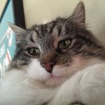 Asher Dunn - @asherdunn - Instagram