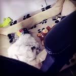 jsjdnb - @asherelbaz123 - Instagram