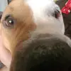 Asher Ellis - @asher.ellis - TikTok