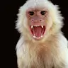 Asher Gibson - @asherg.04 - TikTok
