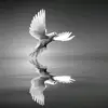 asher_gill - @asher__gill - TikTok