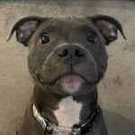 @asherhudson_7474 - Instagram
