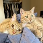 Asher/Hudson - @2chonks1braincell - Instagram
