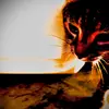 Asher  Jacobs - @asher.jacobs78 - TikTok