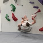 Asher Jacobs - @asher.jacobs.520 - Instagram