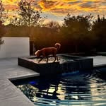 asher jacobs - @asherjacobs433 - Instagram