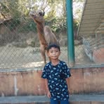 Asher Klein Tangonan - Facebook