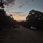 Asher Miller - @ashermiller37 - Instagram