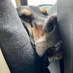 Asher Miller - @asherbmiller - Instagram