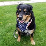 Asher Miller - @theasheradventures - Instagram
