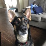 Asher Rodriguez - @asher.rodriguez - Instagram
