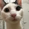 Asher Weaver - @asher.weaver - TikTok