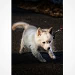 Ashfaq Rasheed - @witcho_ria - Instagram
