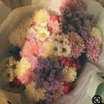 Ashi - @ashi__.malik - Instagram