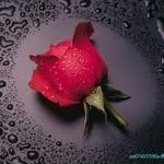 ashik George - @ashik_328 - Instagram