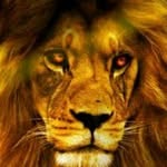 ASHIKGEORGE - @ashikgeorge2023 - Instagram