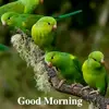 Ashima Giri - @ashimagiri2 - TikTok