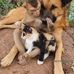 Ashima Jain - Facebook
